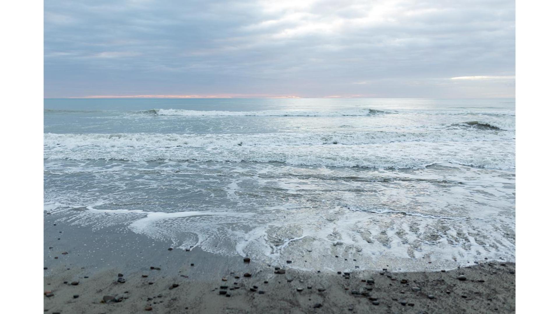 Pacific View By Tiny Away Villa Leithfield Exteriör bild