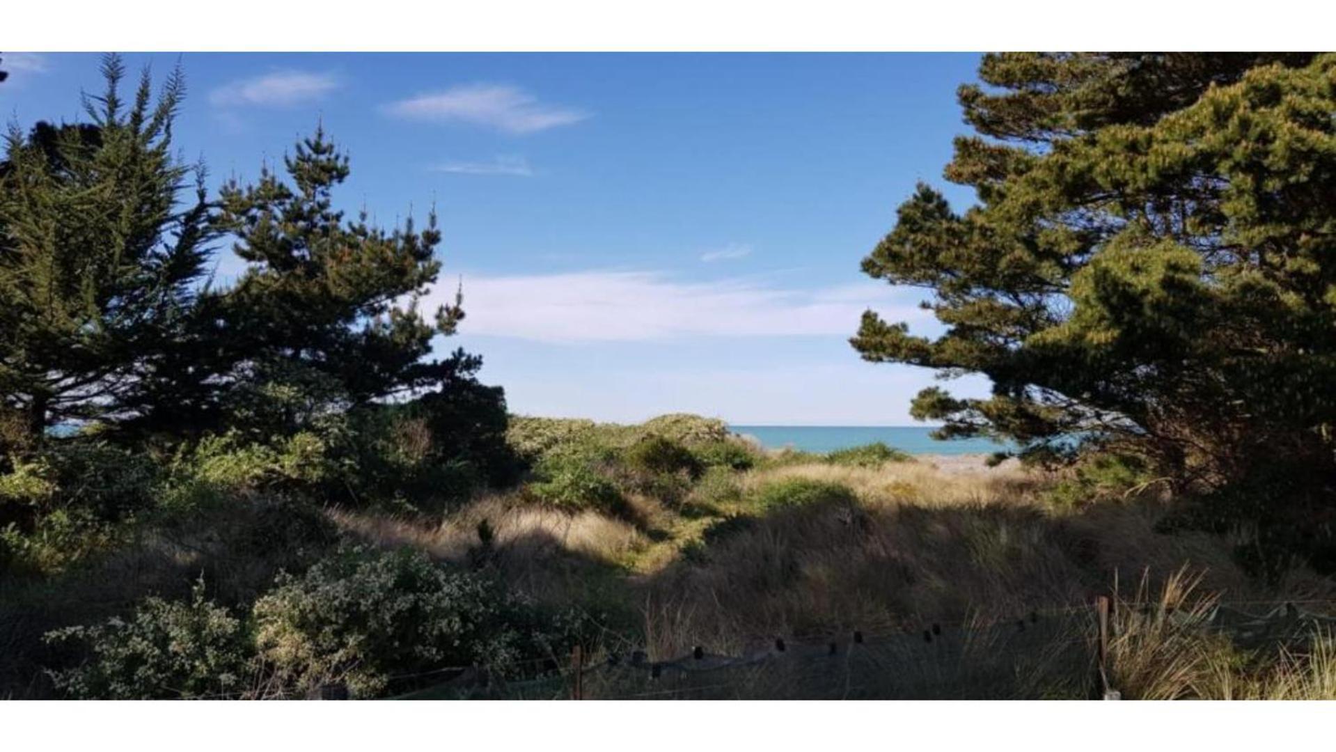 Pacific View By Tiny Away Villa Leithfield Exteriör bild